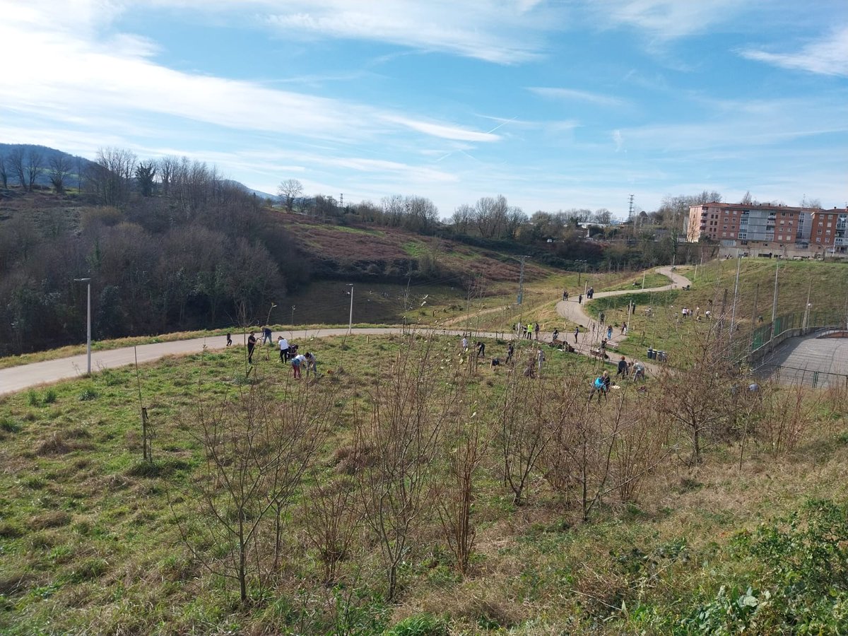 Haritzalde tweet media