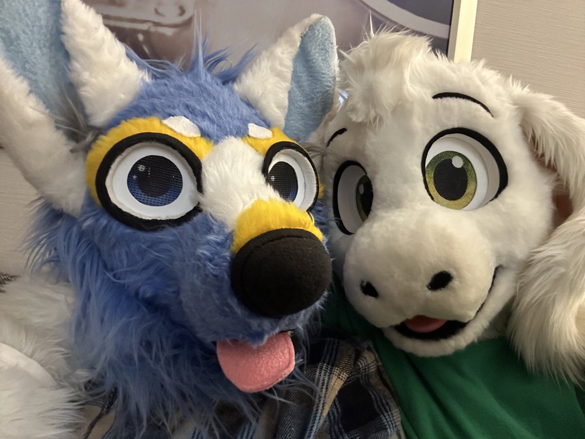 It’s #FursuitFriday and just a reminder that I don’t use this site anymore.  

Come find me on the other blue site!  Same username.