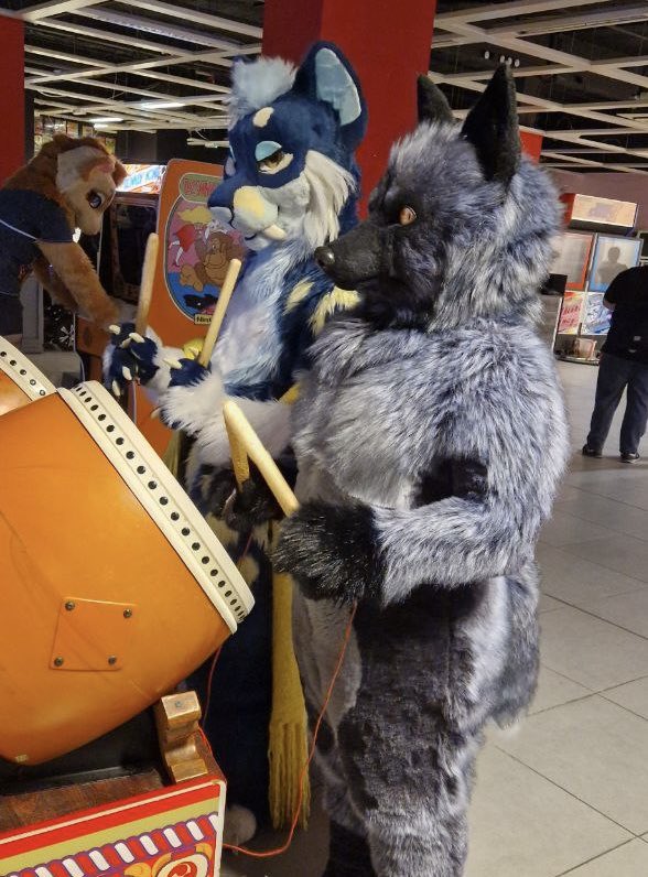 VolpeLoz ๐ CFZ 25 ๐ (@volpeloz) on Twitter photo ๐ฅWanna join mine and <a href="/CorgiTosh/">Tosh Corgi ๐ NFC2025</a>โs band? We have two lots of drums so far๐ฅ
๐: <a href="/BarkadeFurs/">BarkadeFurs: The Furry Arcade Party ๐ฎ</a>
#FursuitFriday #barkade ๐ฅWanna join mine and <a href="/CorgiTosh/">Tosh Corgi ๐ NFC2025</a>โs band? We have two lots of drums so far๐ฅ
๐: <a href="/BarkadeFurs/">BarkadeFurs: The Furry Arcade Party ๐ฎ</a>
#FursuitFriday #barkade