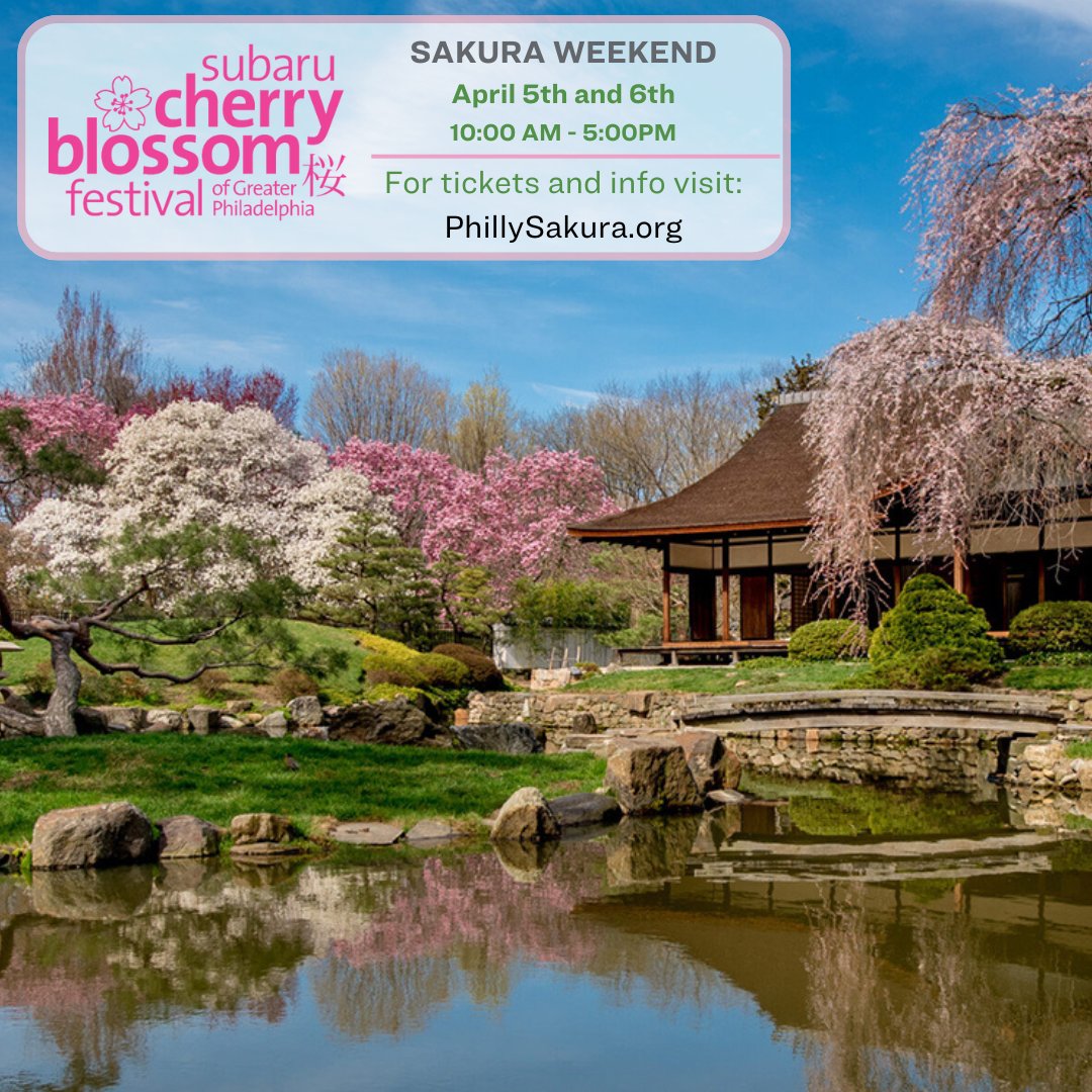 Subaru Cherry Blossom Festival tweet media