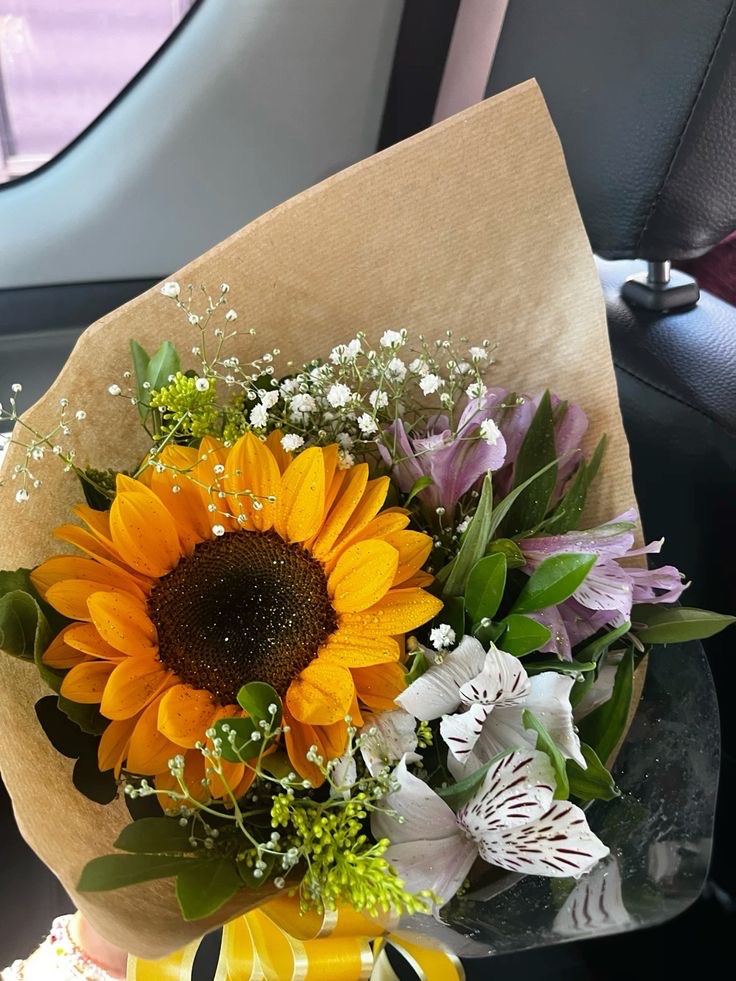 sunflowerchives's tweet photo. Every day is a fresh start. Make it count! 🌿 https://t.co/jfBT1vrfbH
