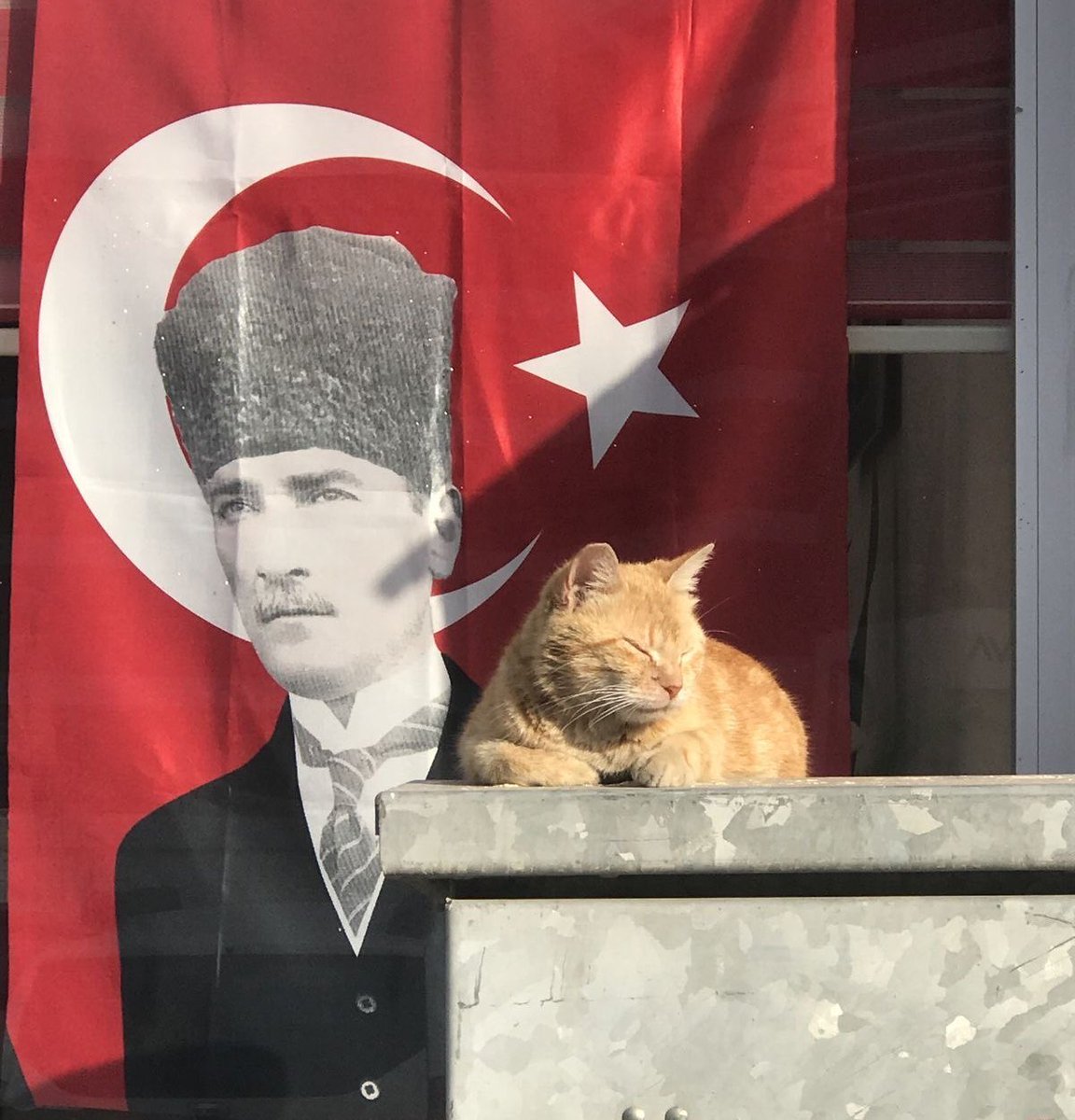 sırtını kime yasladığını bilmek, huzurun ve özgürlüğün en büyük kaynağıdır..