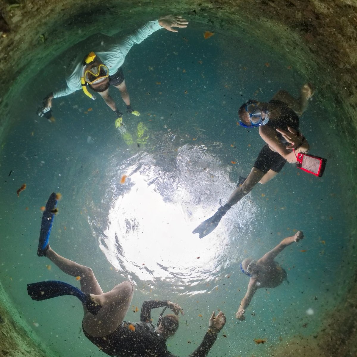 ARochaUSA's tweet photo. Happy World Water Day 2025!

Today, we join the global community in reflecting on the importance of water resources and the urgent need to protect them.

Take part in the World Water Day campaign: https://t.co/ASGdPuOZ9V

📸 Allison Cutting https://t.co/PHhJ2pnA92