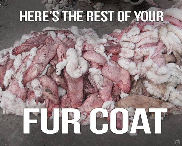 PETA UK tweet media