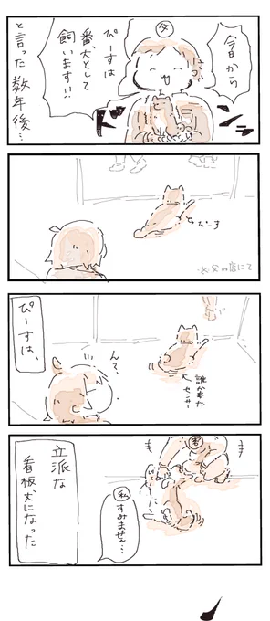 #4コマ漫画 #柴犬 #柴犬のいる暮らし 
父の宣言 