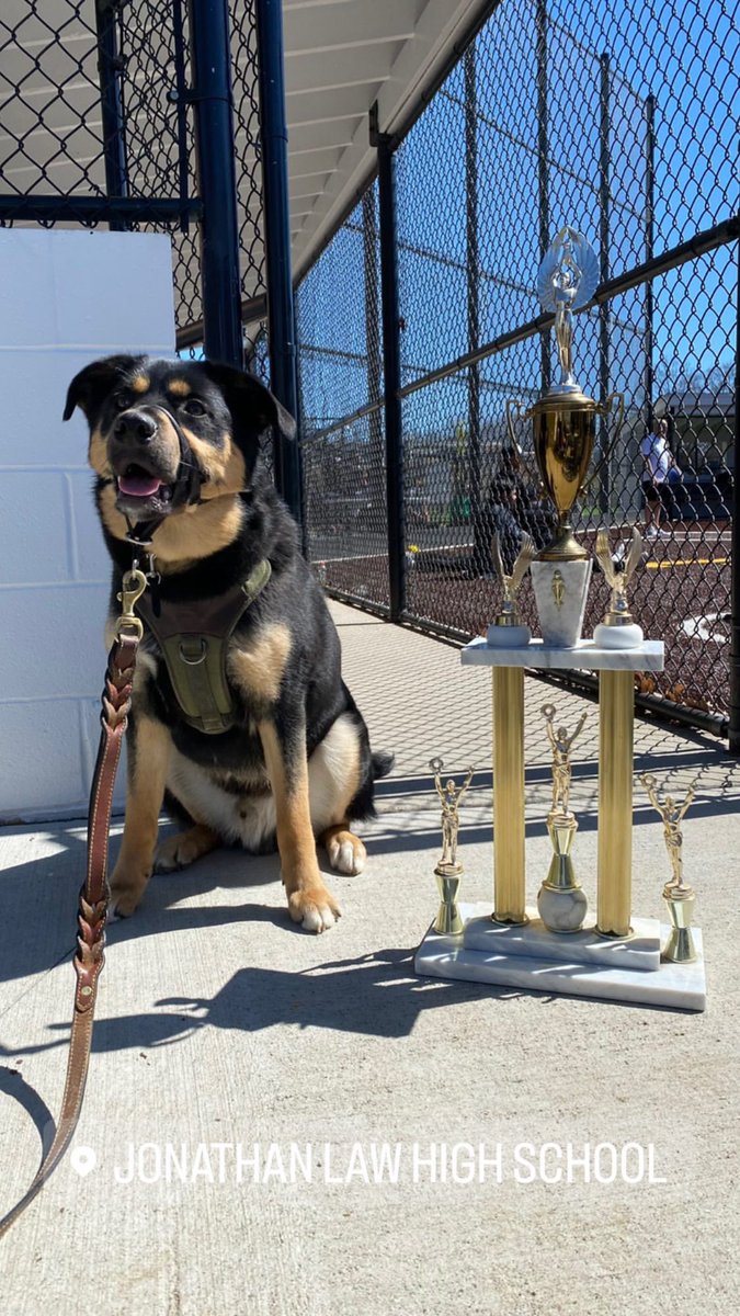 Ms. Doolan tweet media