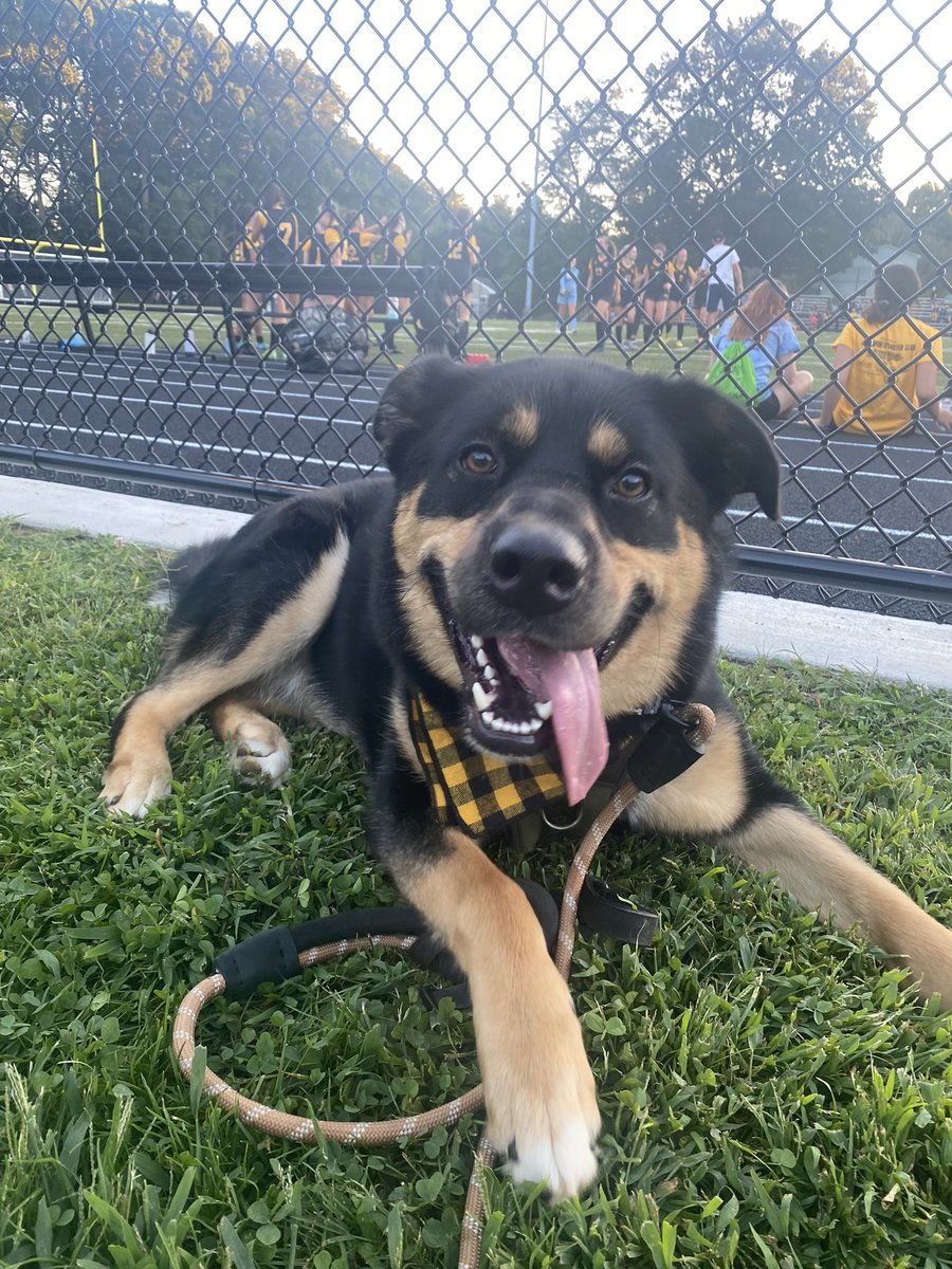 Ms. Doolan tweet media