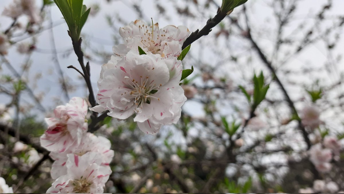 Beautiful Gangtok, Sikkim...