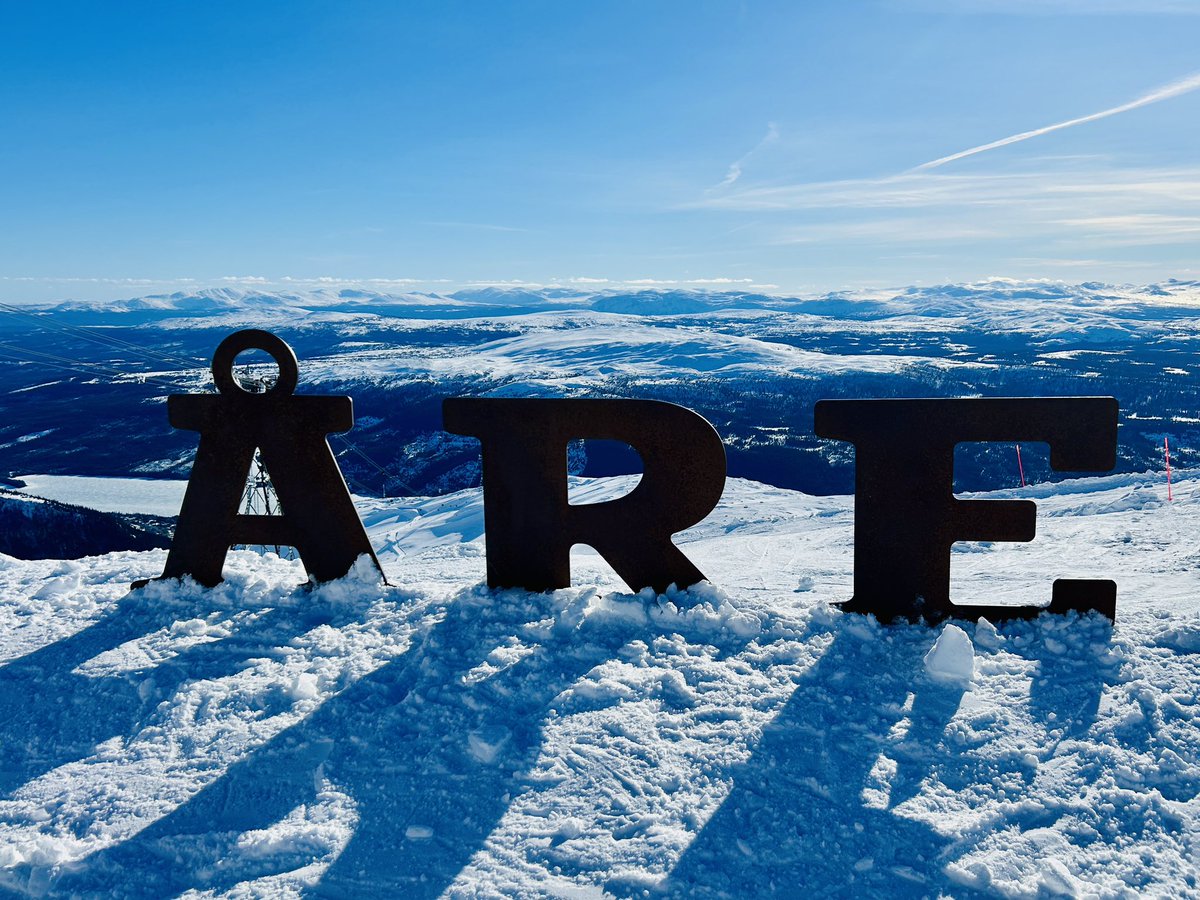 Joe Mulberry tweet media