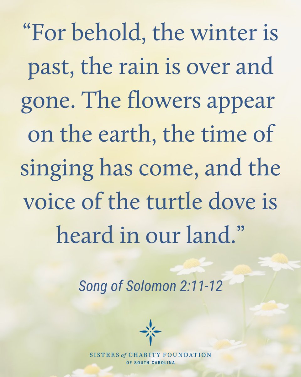 It's officially spring and our President, Donna Waites, has shared a few thoughts on the new season ahead. 

Tell us, what gives you hope this spring? 💬 Please share in the comments below as we look towards nature's resilience for inspiration.