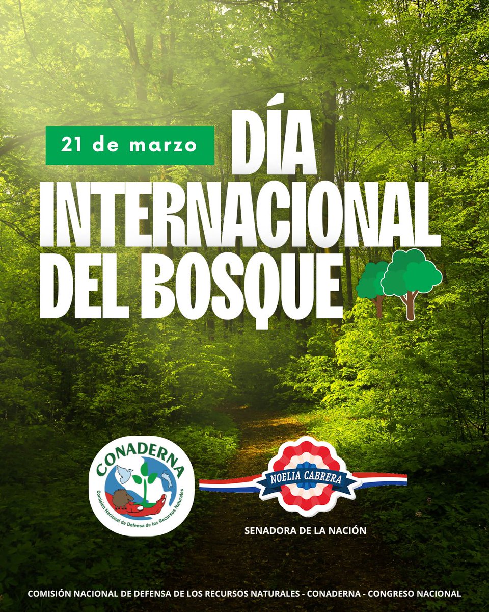 21 de Marzo Dia Internacional de los Bosques. La CONADERNA se une a la celebración del Día Mundial de los Bosques, un día que nos recuerda la importancia vital de estos ecosistemas para la vida en nuestro planeta.