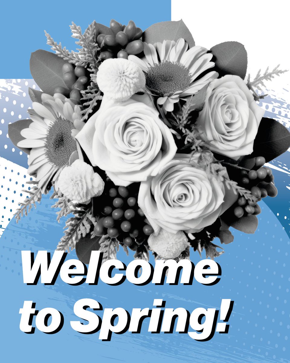 Spring is officially here, which means it's time for Spring Cleaning!🌸🧹 Embrace the fresh start, and get your car organized and refreshed! 🚗