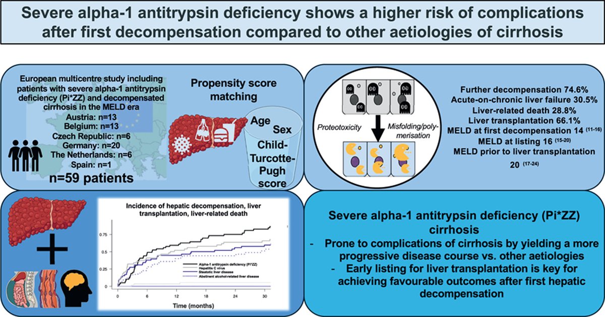 Mattias Mandorfer (@mattiasmandorf1) on Twitter photo ‼️Following first hepatic decompensation, patients with severe #AATD have a higher risk of complications vs. other aetiologies
👉Early listing for liver transplantation. #LiverTwitter
🔗doi.org/10.1016/j.jhep…
<a href="/AlphaFriend/">Alpha-1 Foundation</a> <a href="/JHEP_Reports/">JHEP Reports</a> ‼️Following first hepatic decompensation, patients with severe #AATD have a higher risk of complications vs. other aetiologies
👉Early listing for liver transplantation. #LiverTwitter
🔗doi.org/10.1016/j.jhep…
<a href="/AlphaFriend/">Alpha-1 Foundation</a> <a href="/JHEP_Reports/">JHEP Reports</a>