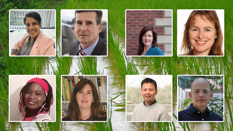 🌎♻️ Four UCD teams have secured funding for research addressing the global challenges of hunger and food insecurity.

In total, six teams from various institutions will receive €2.2 million in government funding to advance UN Sustainable Development Goal 2: Zero Hunger.

The