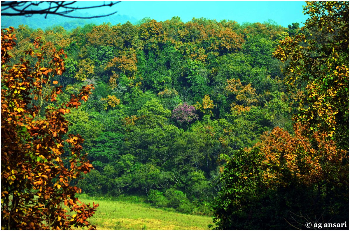 AG Ansari tweet media