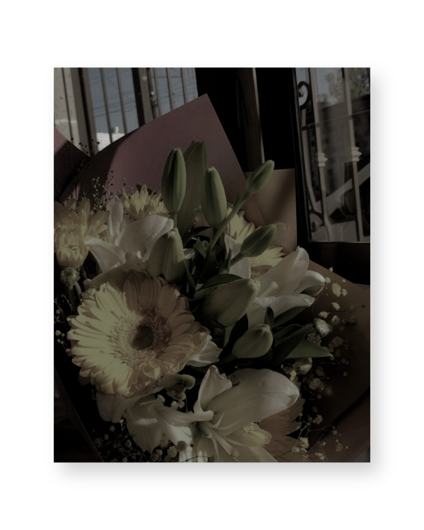 ᅠᅠᅠㅤ
ᅠㅤ
⠀ ⠀⠀ㅤ ㅤ  ⊹˚  𝑺𝑷𝑬𝑪𝑰𝑨𝑳 𝑫𝑬𝑳𝑰𝑽𝑬𝑹𝒀  ࿐
ㅤ ㅤ ㅤ ㅤ ㅤ ㅤ ㅤ┈・𝜗𝜚・┈
⠀ ⠀⠀ ㅤ ㅤᅠᅠ˚⋅  𓂃 𝙵𝚁𝙾𝙼: ℭ𝑎𝑙𝑙𝑖𝑒 ⋆