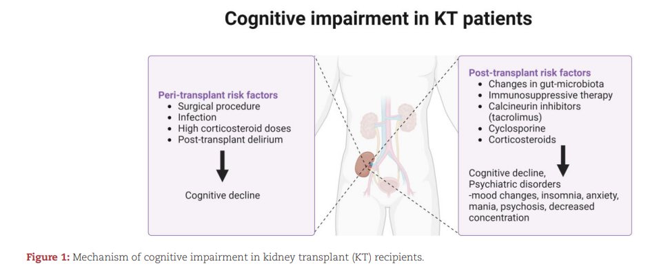 NDTsocial's tweet image. Cognitive impairment in kidney transplanted patients

🆓doi.org/10.1093/ndt/gf…