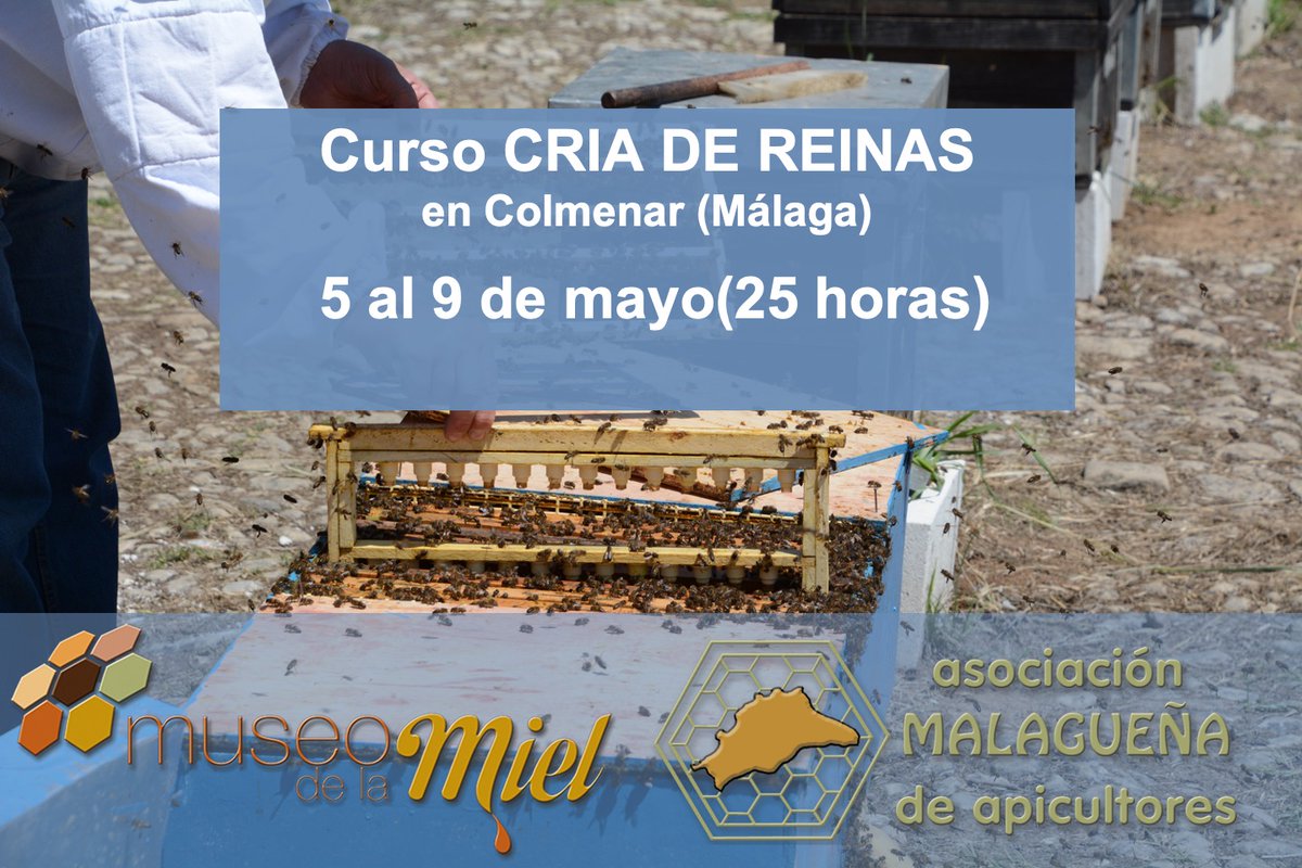 mieldemalaga's tweet photo. Cursos de apicultura 🐝🍯

🐝 Plazas limitadas
🐝 Prácticas en un apiario cercano
🐝 Certificado de asistencia
👉Más de 1.000 alumnos han aprendido #apicultura con nosotros
Inscríbete ahora en https://t.co/CSb1kholXt https://t.co/oRXciLxtr8