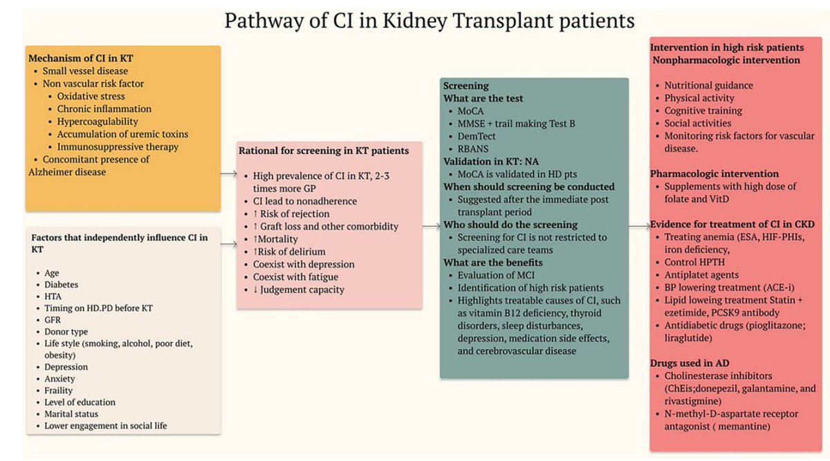NDTsocial's tweet image. Cognitive impairment in kidney transplanted patients

🆓doi.org/10.1093/ndt/gf…