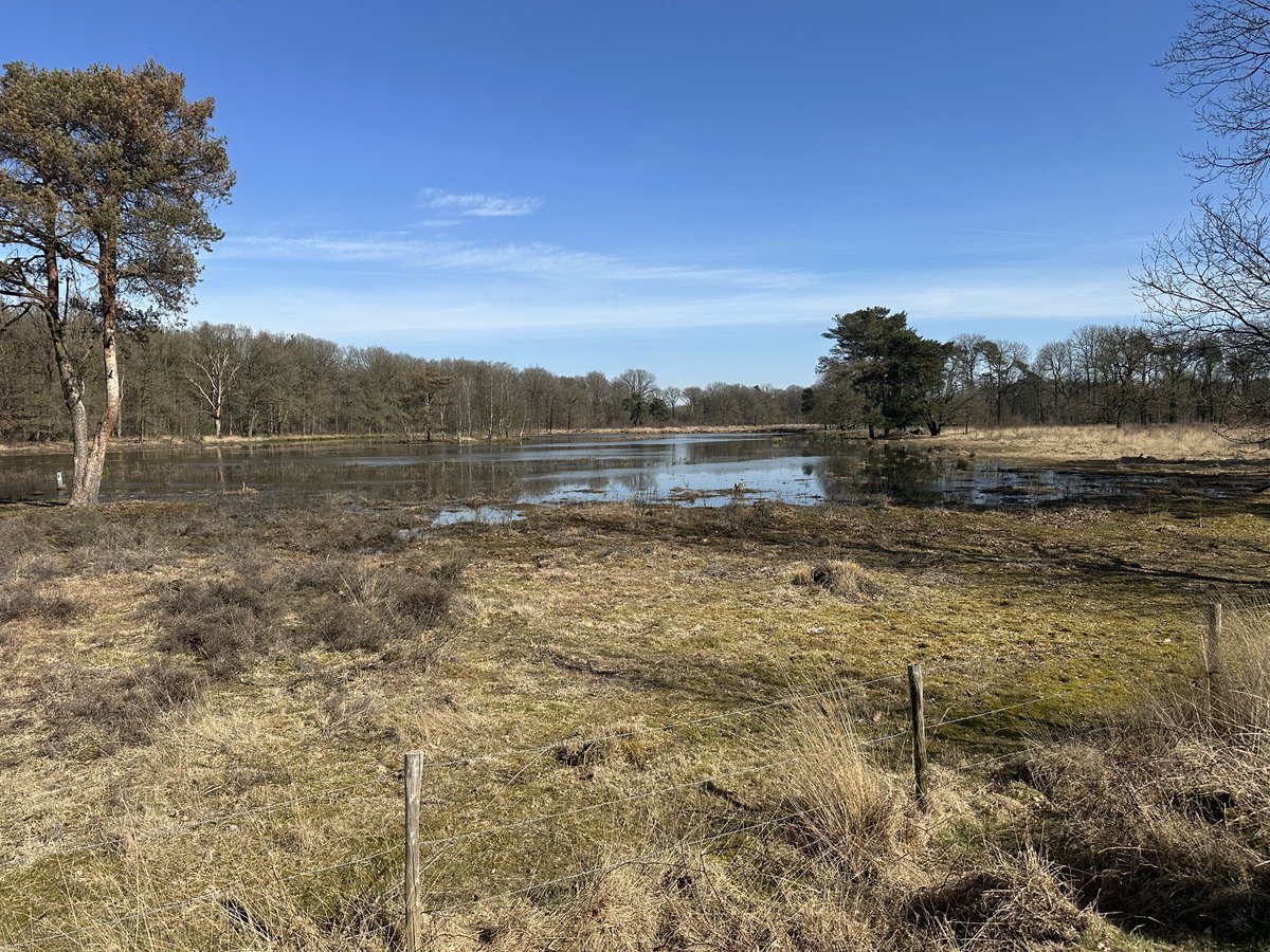 Fred van zetten tweet media