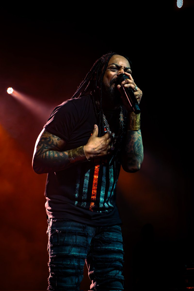 Lunar Liz 🌙 tweet media