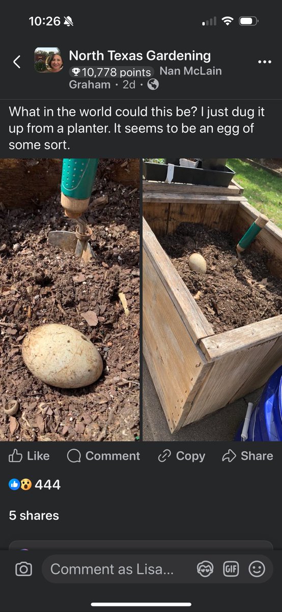 Well my gardening group just got interesting…. 👀