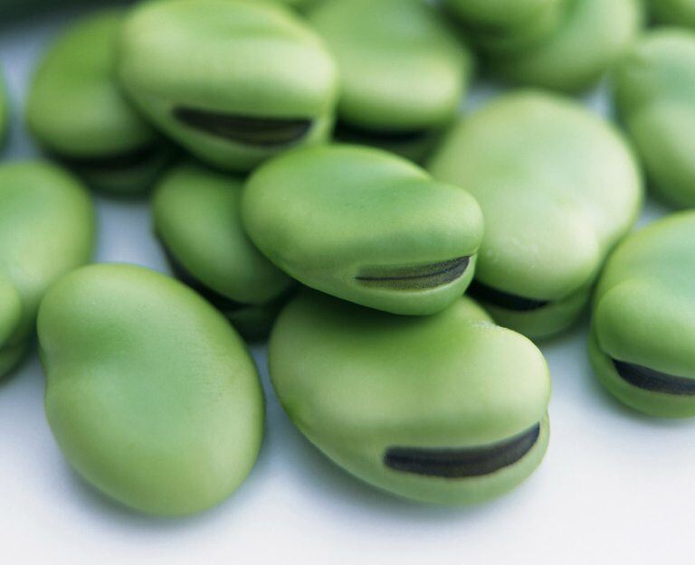 Seed World Canada (@seedworldcan) on Twitter photo 🚀 Big news for faba bean breeders & protein ingredient companies! <a href="/Seed_Testing/">SGS Crop Science - Canada</a>'s new tannin testing method is fast, accurate & ensures genetic purity. Whether for livestock feed or human food, they help you get it right. 🌱🔬 Get in touch to learn more! hubs.ly/Q03cWrf10 🚀 Big news for faba bean breeders & protein ingredient companies! <a href="/Seed_Testing/">SGS Crop Science - Canada</a>'s new tannin testing method is fast, accurate & ensures genetic purity. Whether for livestock feed or human food, they help you get it right. 🌱🔬 Get in touch to learn more! hubs.ly/Q03cWrf10