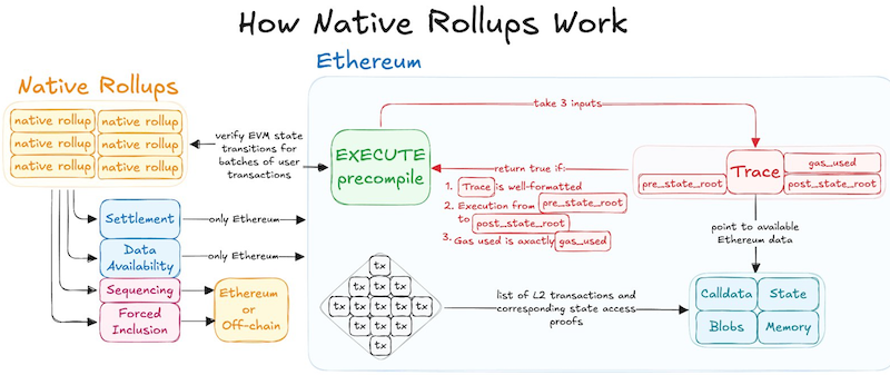 ⚡  INSIGHT: Your guide to the differences between Native Rollups and Based Rollups, and how they could make L2s as secure and composable as Ethereum itself.

Via Cointelegraph Magazine