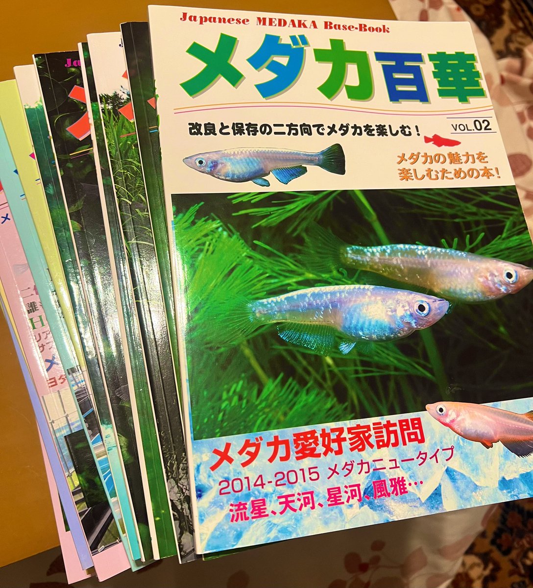 宵子(よいこ)めだか (@newmoon797) on Twitter photo メダカ百華🐟
あと創刊号と3号が手に入れば、全巻コンプリート😂💦
創刊号と3号探してます🔍
改良メダカの進化が巻を追うごとに進んでいく様子はまさに圧巻です👀✨❗️ メダカ百華🐟
あと創刊号と3号が手に入れば、全巻コンプリート😂💦
創刊号と3号探してます🔍
改良メダカの進化が巻を追うごとに進んでいく様子はまさに圧巻です👀✨❗️
