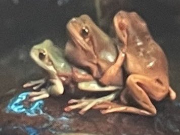 GOODFCKINBYE…we did.