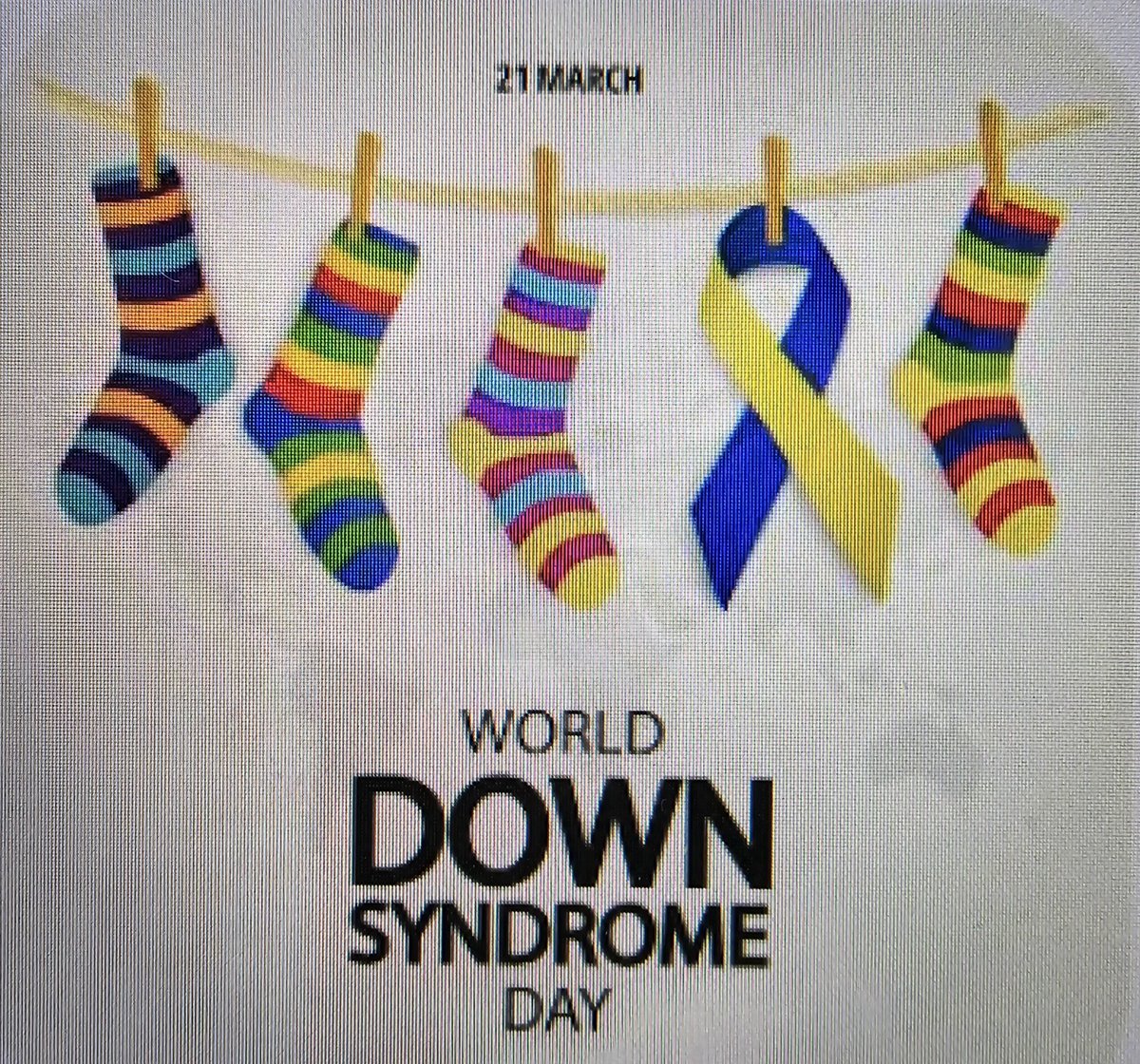 Francisco Machado P tweet media