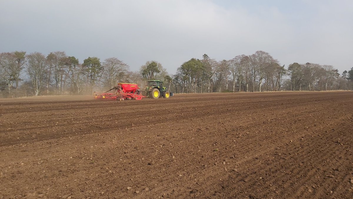 What a difference 12 months makes, oats going in a month earlier than last year