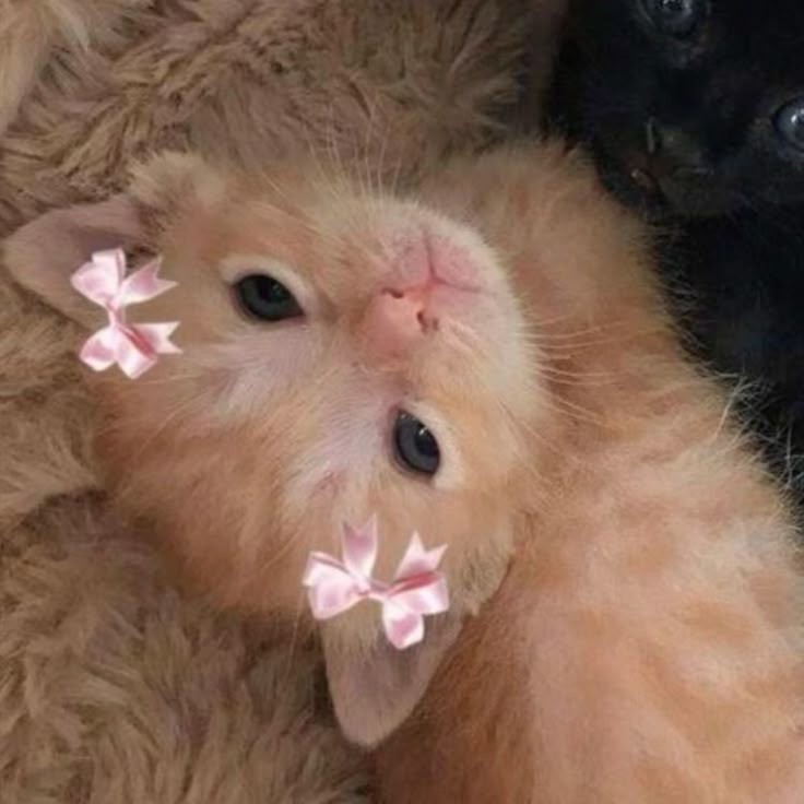 ㅤ
Lord, forgive me, I've got an appetite. 
When she looks at me like that. 
ㅤ