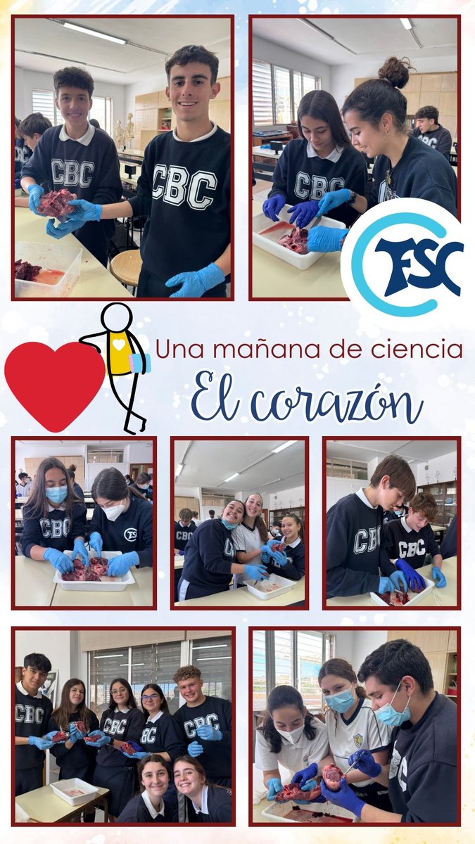 Los alumnos de 1º Bachillerato y 3º ESO practican en el #laboratorio 🔬con la disección de un corazón 🫀 para estudiar sus cavidades, válvulas y vasos sanguíneos.👩‍🔬👨‍🔬, facilitando así un aprendizaje significativo al conectar teoría con práctica. 

#ContigoSomosBuenConsejo