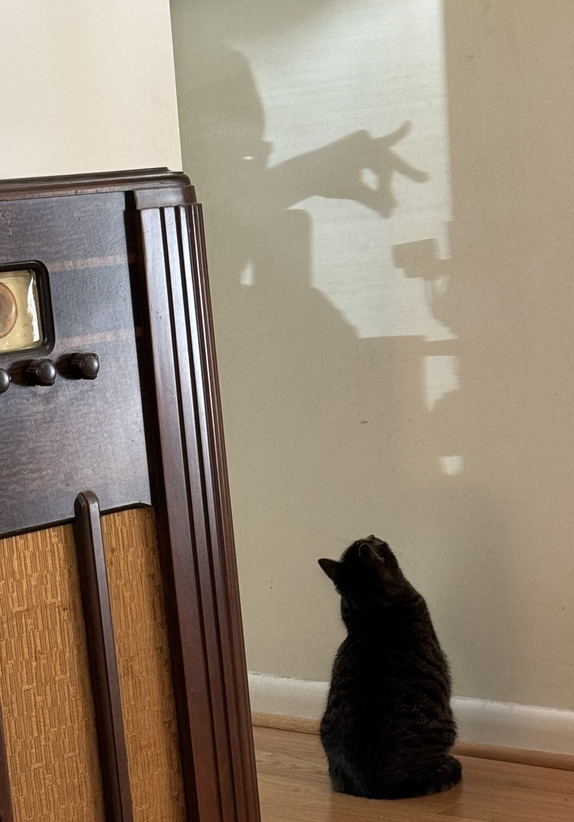 cjvail's tweet photo. Wife: I sure hope you’re not making bunny shadow puppets munching on a shadow of your webcam to entertain the cat again. 
Me: …👀 https://t.co/g7Q9aQKOKY