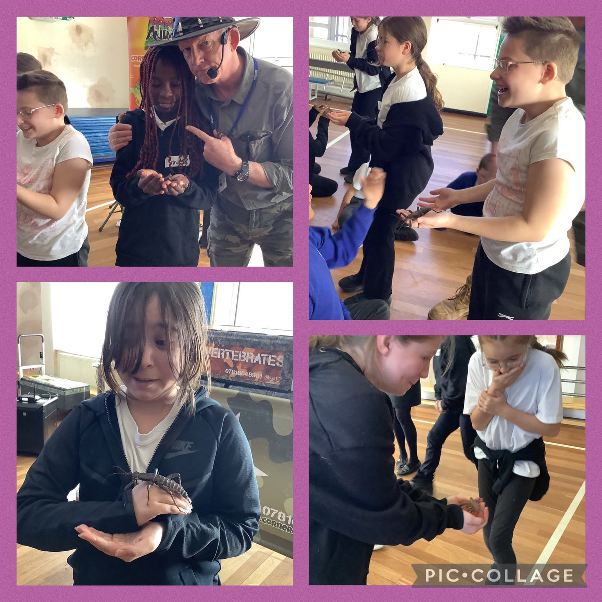 ReinwoodJuniors's tweet photo. #RJS5C had an amazing time with the animal man this week. It was a lovely way to finish our #RJSGEOGRAPHY topic of Brazil 🇧🇷 https://t.co/587o0du3SU