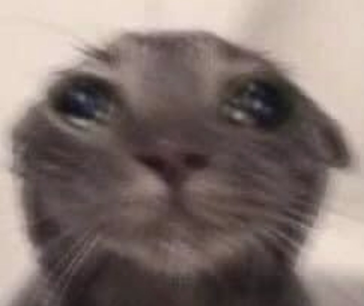 Me when a client says “all the other inmates say you’re really good.”