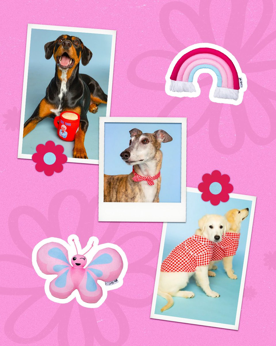 Doggy Parton tweet media