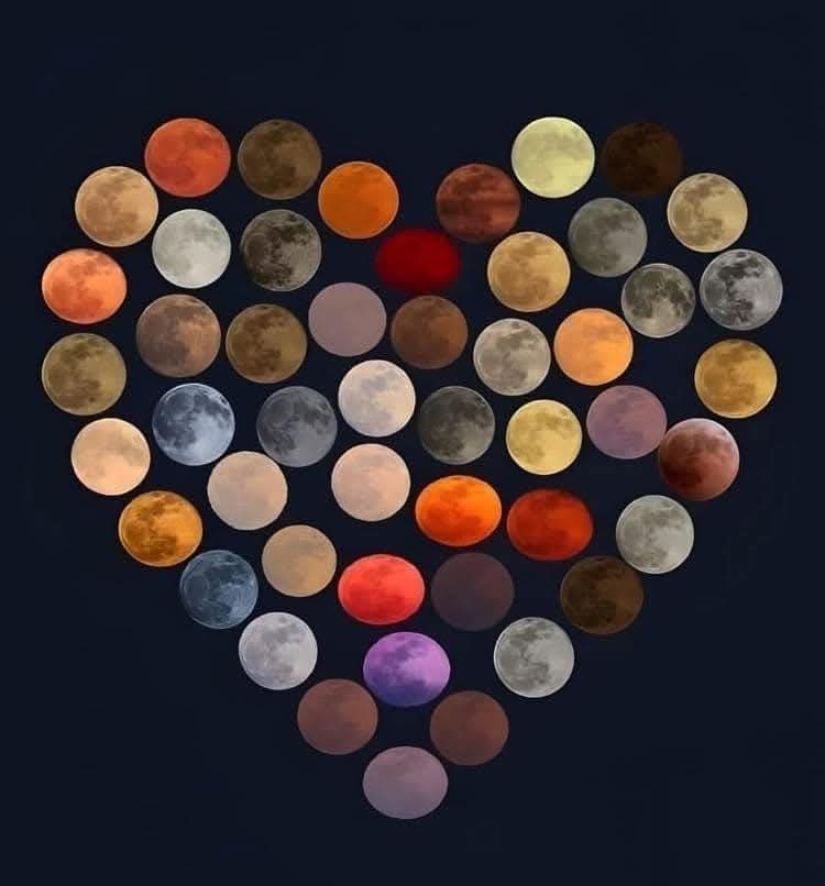 Curiosity tweet media