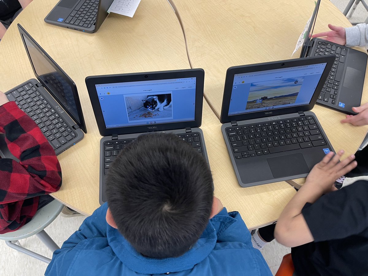 Mikaela Clark tweet media