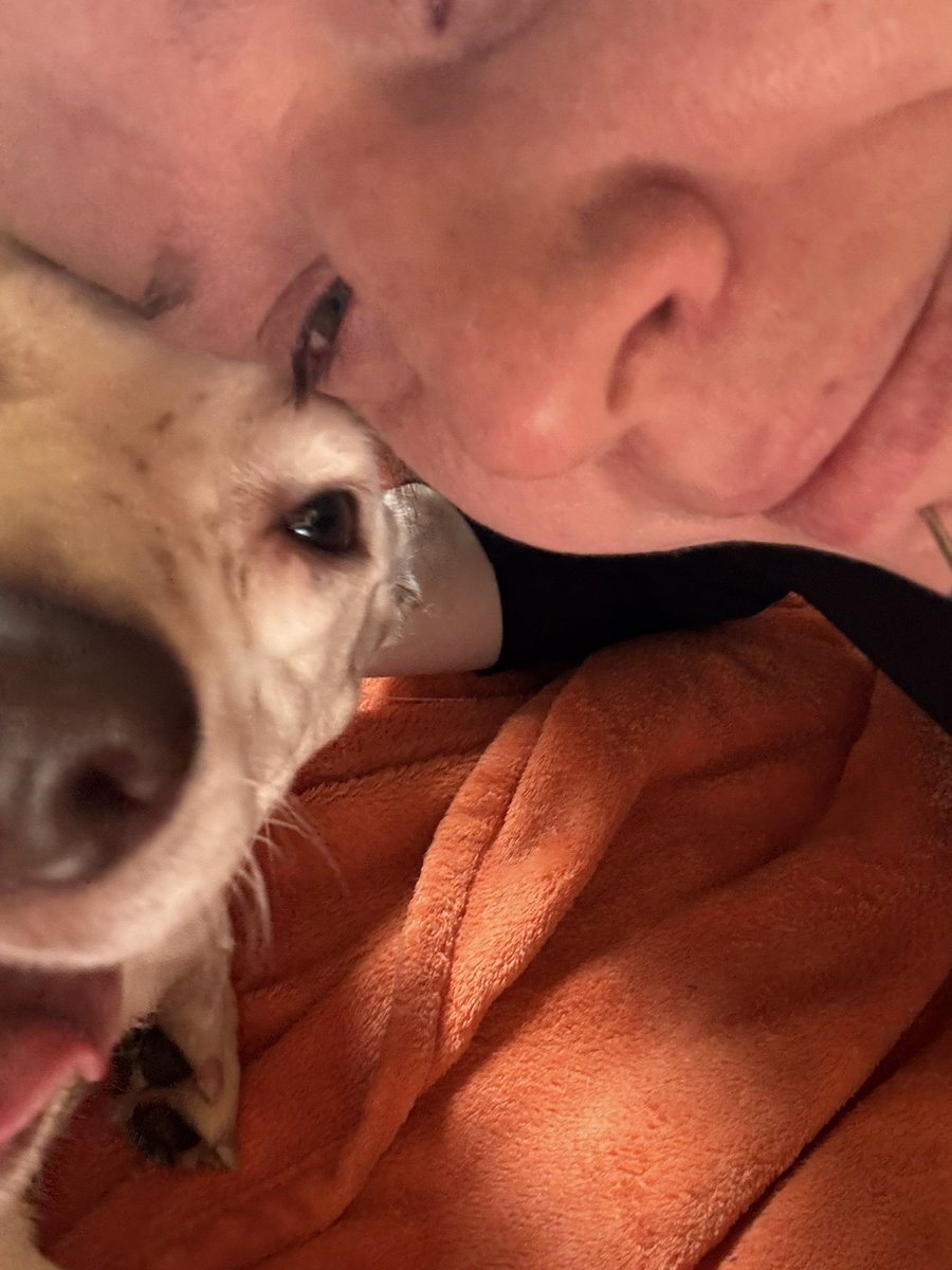 WhyAshNow's tweet photo. Ashton and I were in tears again, she is declining in health. Took her to the ER and the to her VET. She is on antibiotics n pain meds again. Monday is her surgery. Any donations will go towards helping me pay for it. It’s 1399-1799 for her surgery. I have 1k right now cont… https://t.co/b8cQFsJOmd