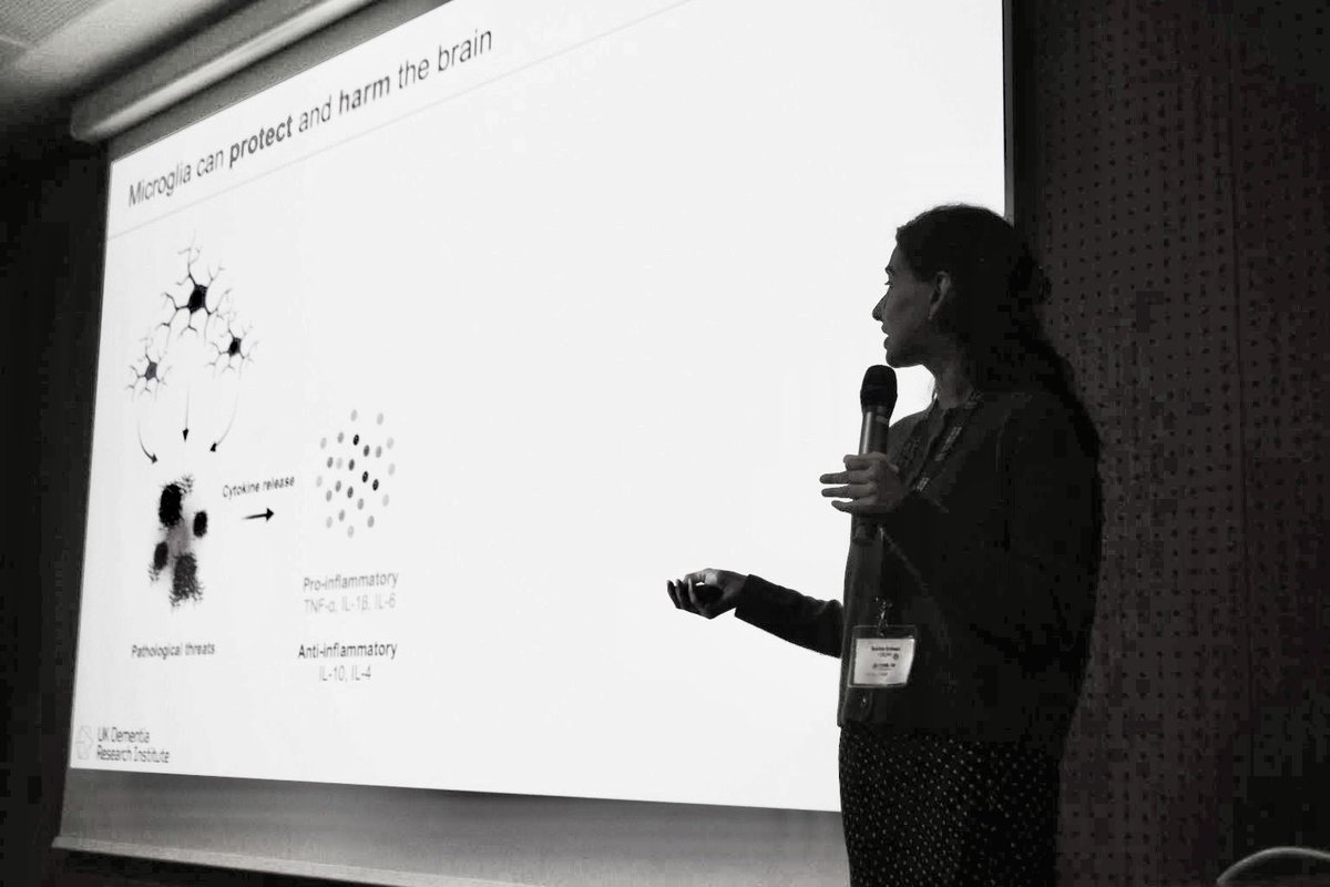 _sarinagrewal's tweet photo. Had the pleasure of presenting my PhD work on microglia modulation with ultrasound at the #CUREND workshop in Paris! 🇫🇷🧠🔉

Thank you to the organisers and the @UKDRI for this opportunity! https://t.co/JdIzRxz2d7