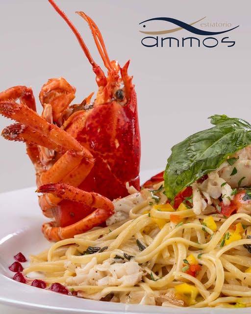 AmmosNewYork's tweet image. #spring #springforward #springishere #april #may #springlove #springlover #springtime #springfun #springevening #springbreak #lovespring @AmmosEstiatorio @AmmosNewYork #Greek #Greece #Restaurant #Manhattan #NewYork