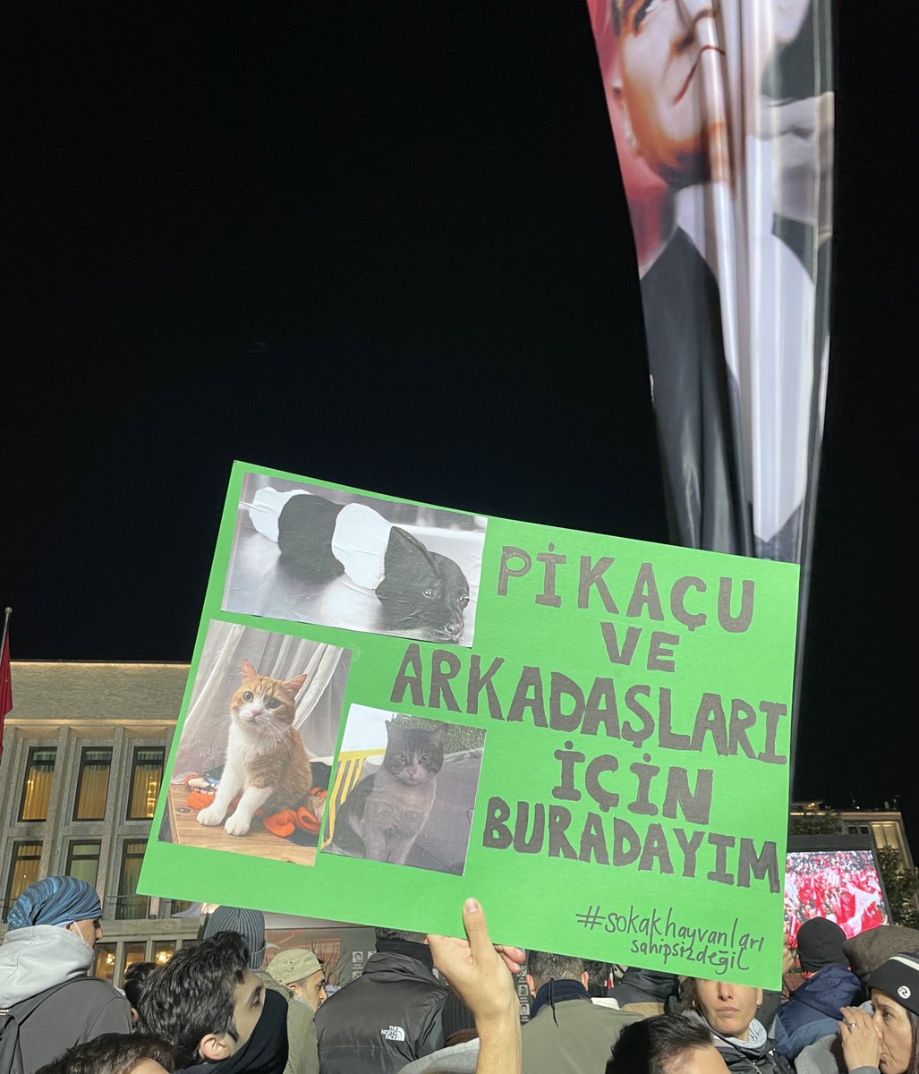 berk (@berkozdemiirrr) on Twitter photo 