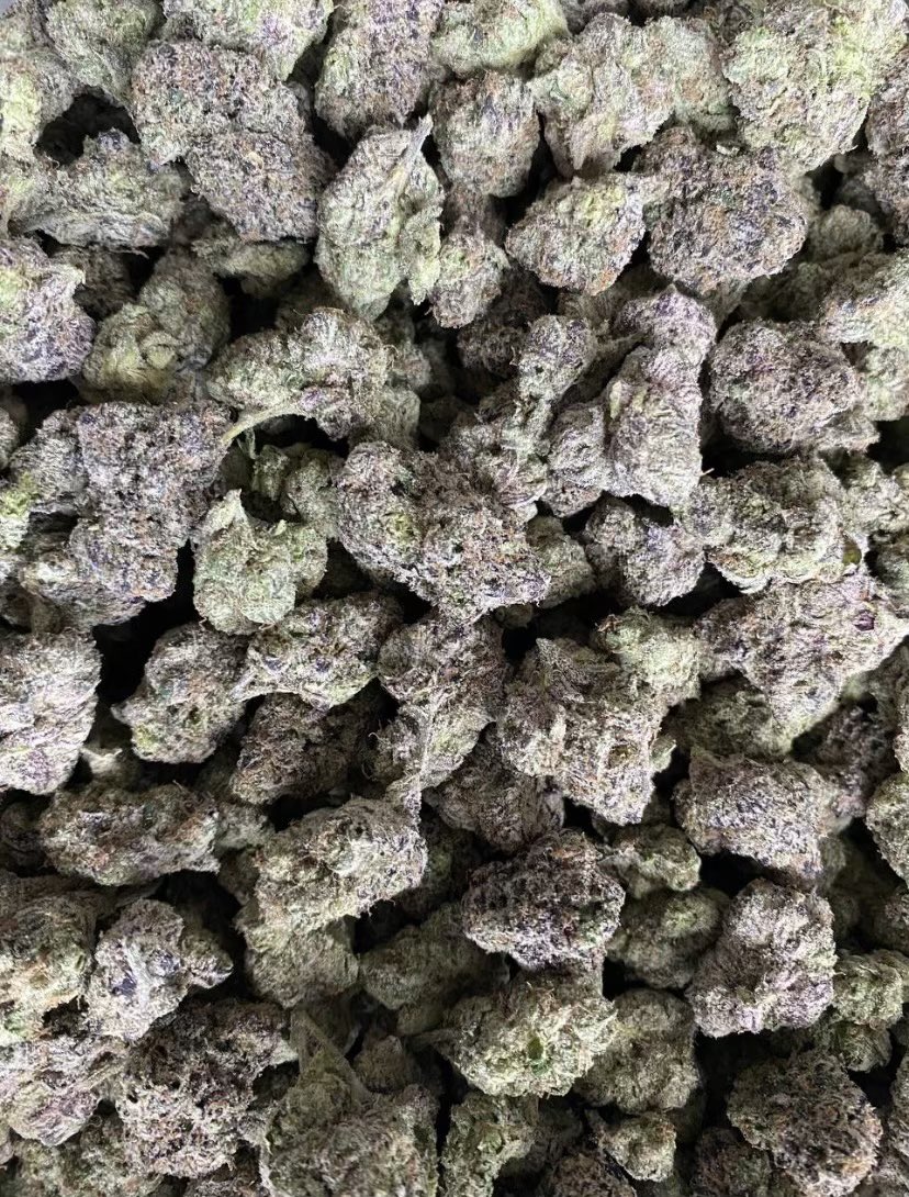 Donut_Dessertz's tweet photo. #NewDropAlert🚨 
The People’s Choice Returns By Popular Demand❕The Brands 1st 🥇 Flavor Drop Returns🫐🍩🎂🫐🍩
#DONUTSSS™️🍩🔥😋😮‍💨
🍩🌴⚡️💪🫡 
“Blueberry Funnel Cake”🍩🫐🎂🍩🫐
#StayTuned⏳⏳⏳
#ComingSoon🔜 3/❔/25’ 
#FOLLOW Main Page ⬇️ 

https://t.co/bto5Pw3Z7s https://t.co/GpT9UG7Gwn