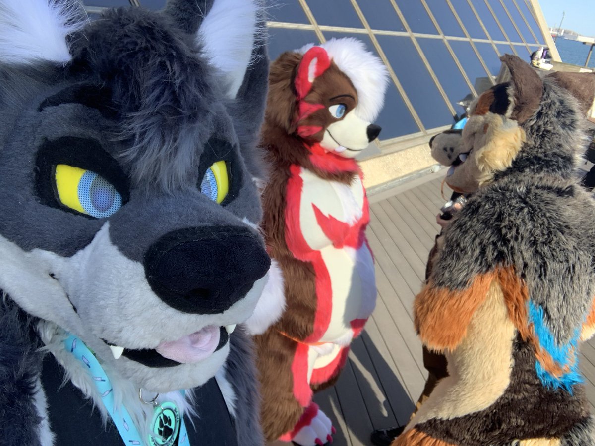 Mahikan OwO c'est quoi ça? 🔜 Furpoc tweet media