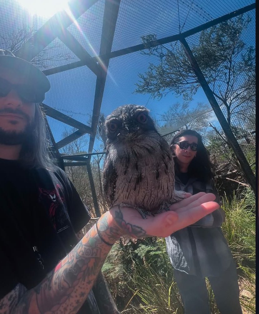 daily_ruffilo's tweet photo. via @/davis.rider on insta ♡ https://t.co/RpXYMd6iHX