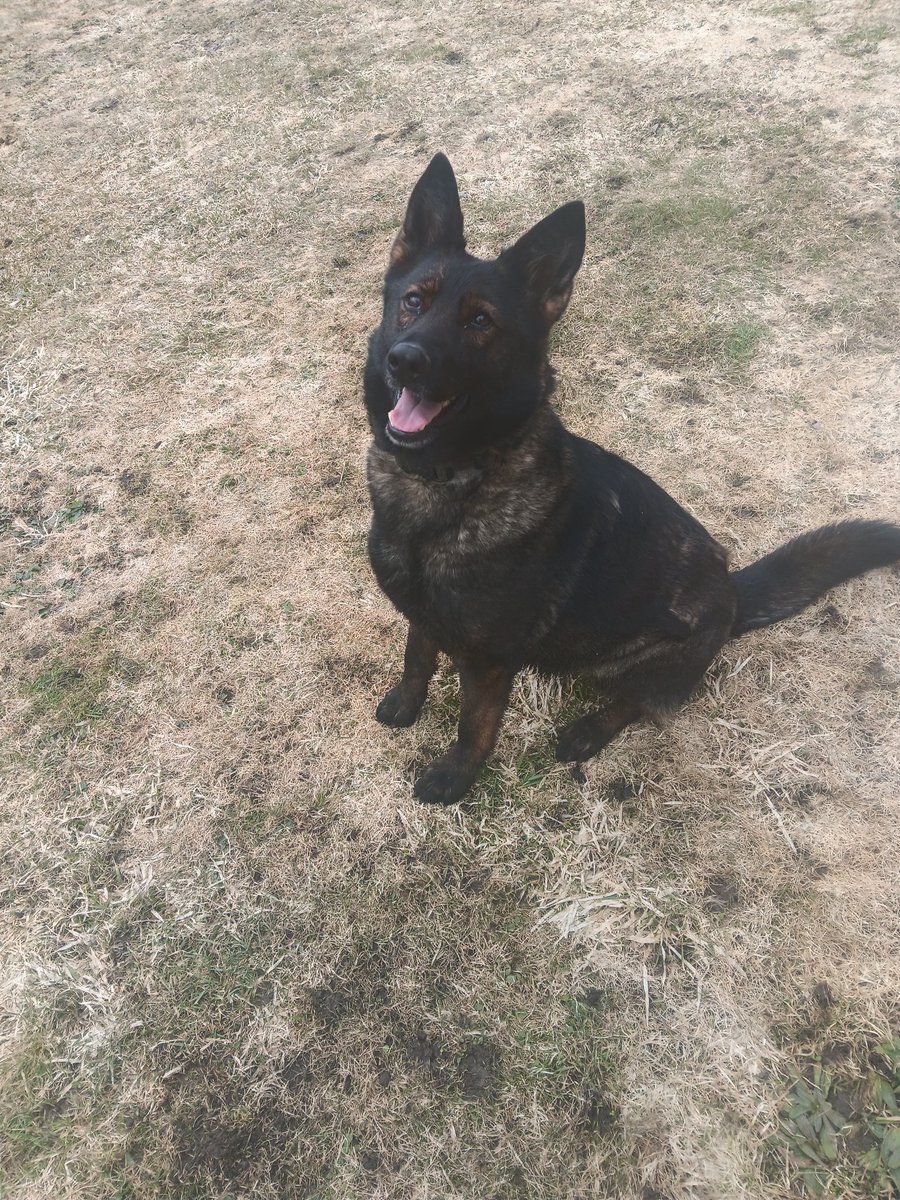 Have a great k9 weekend everyone!