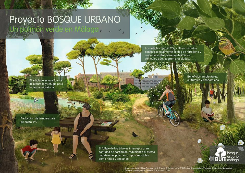 BosqueUrbanoMA's tweet photo. Hoy, 🌳#DíaInternacionalDeLosBosques🌳, os animamos a firmar y difundir nuestra petición en @Change, para lograr un #BosqueUrbano en el corazón de #Málaga. 👉🏼 https://t.co/foe1CTtDcS 
Y si deseas colaborar con la plataforma 👉🏼https://t.co/QNoLNSGYHC
¡Gracias! 🤗 #YoQuieroBUM 💚🌳 https://t.co/WAZFyqqdbz