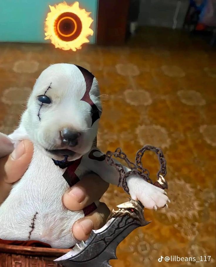 shadowproto's tweet image. 